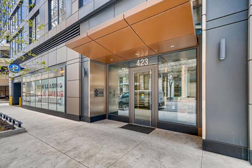 423 E Ohio Unit 301, Chicago, IL 60611