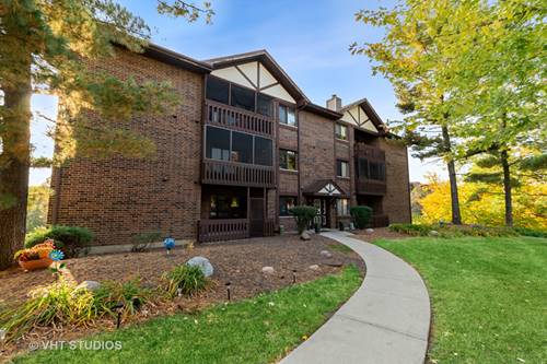 5985 Lakeside Unit 103, Tinley Park, IL 60477