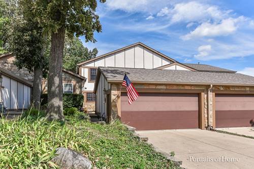 1117 Wheaton Oaks, Wheaton, IL 60187