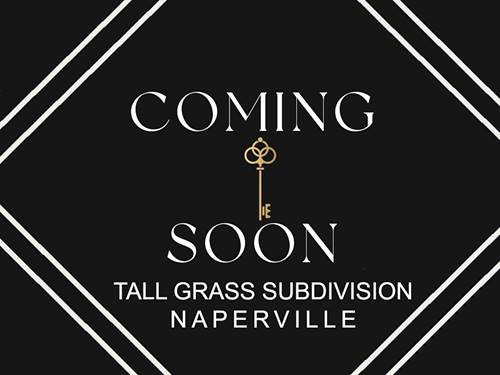 3820 Junebreeze, Naperville, IL 60564