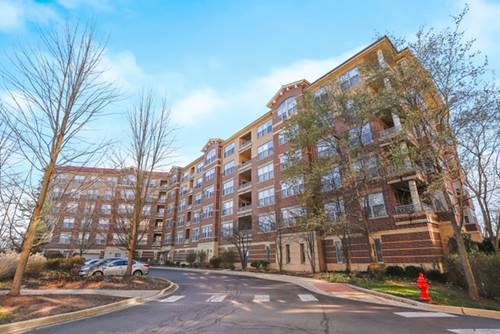 9350 Skokie Unit 310, Skokie, IL 60077