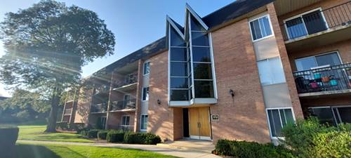 1056 N Mill Unit 110, Naperville, IL 60563