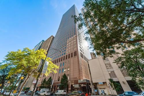 161 E Chicago Unit 41B, Chicago, IL 60611