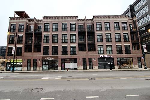 216 N Halsted Unit 3, Chicago, IL 60661