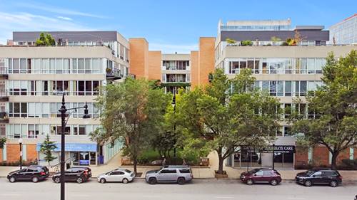 1430 S Michigan Unit 205, Chicago, IL 60605
