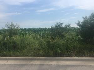 1688 Black, Minooka, IL 60447