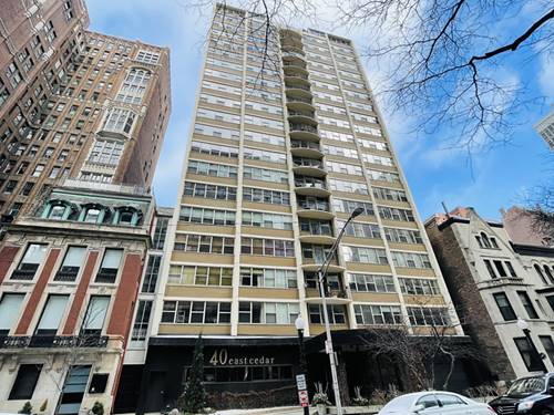 40 E Cedar Unit 11C, Chicago, IL 60611