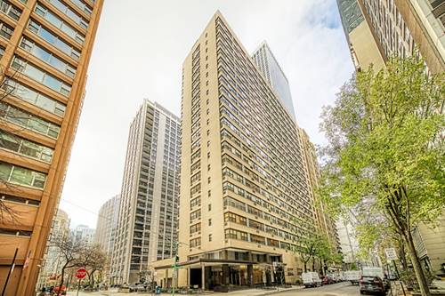 850 N Dewitt Unit 10E, Chicago, IL 60611