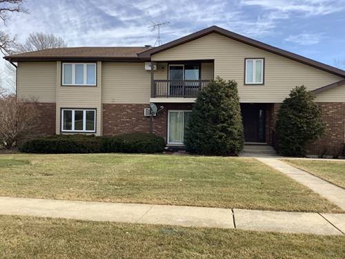 421 Manor Unit C, New Lenox, IL 60451