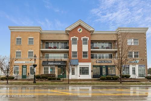 17212 Oak Park Unit 2NW, Tinley Park, IL 60477