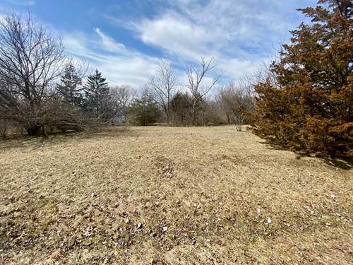 1311 Moraine, Woodstock, IL 60098