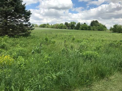 0 Lot 2 Ratfield, Marengo, IL 60152