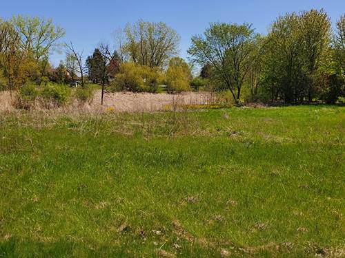 LOT 81 N Delany, Wadsworth, IL 60083