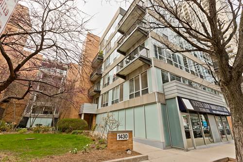1430 S Michigan Unit 310, Chicago, IL 60605