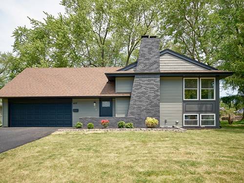 437 Buckeye, Naperville, IL 60540