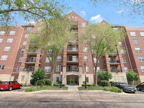 440 W Mahogany Unit 606, Palatine, IL 60067