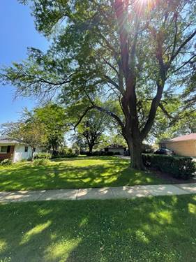 1203 S Robert, Mount Prospect, IL 60056