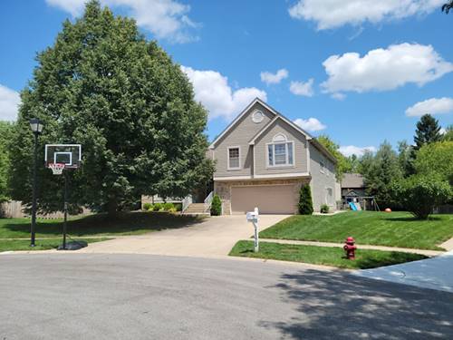 1173 N Clearwater, Palatine, IL 60067