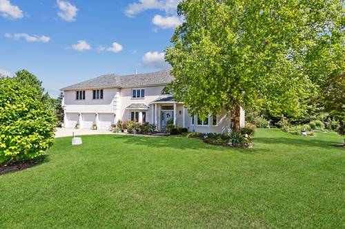 13725 Quail Run, Homer Glen, IL 60491