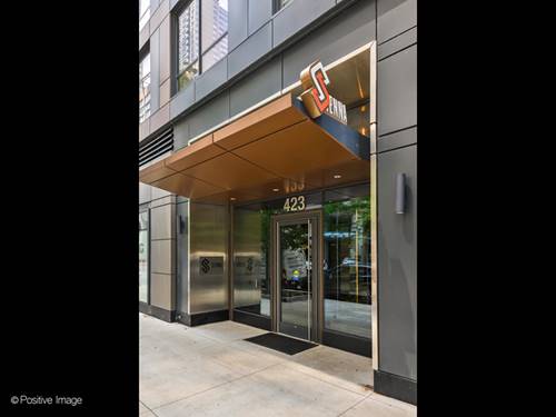 423 E Ohio Unit 504, Chicago, IL 60611