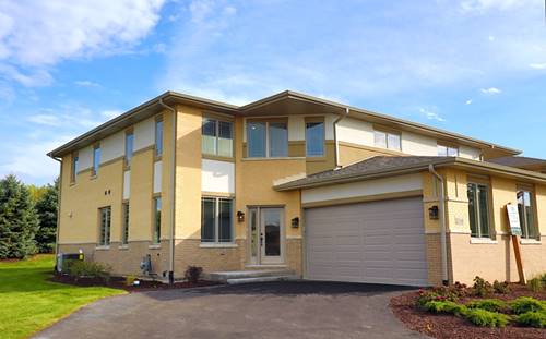 20349 Taliesin, Frankfort, IL 60423