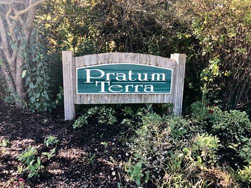 14067 W Pratum Terra, Wadsworth, IL 60083