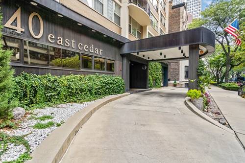 40 E Cedar Unit 19A, Chicago, IL 60611