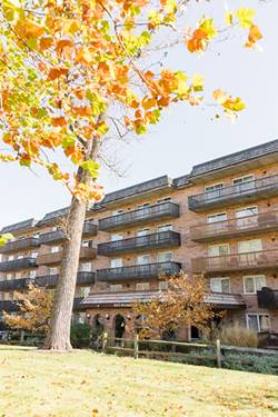 8025 Woodglen Unit 205, Downers Grove, IL 60516