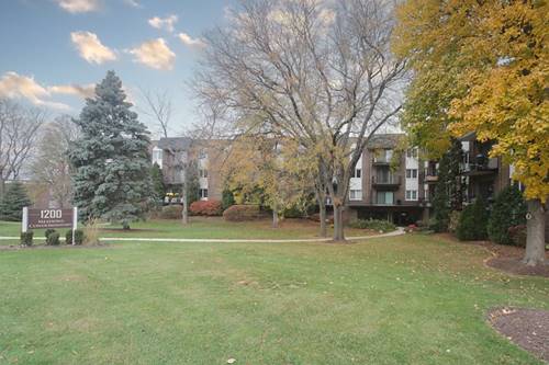 1200 W Northwest Unit 204, Mount Prospect, IL 60056