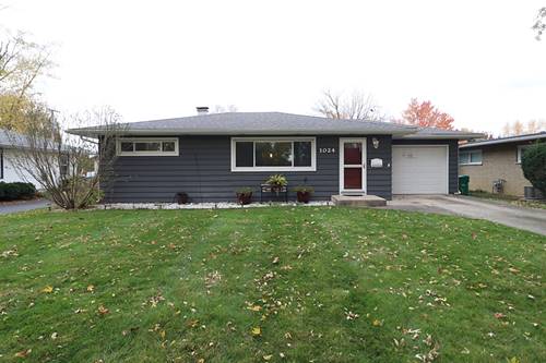 1024 E 8th, Lockport, IL 60441