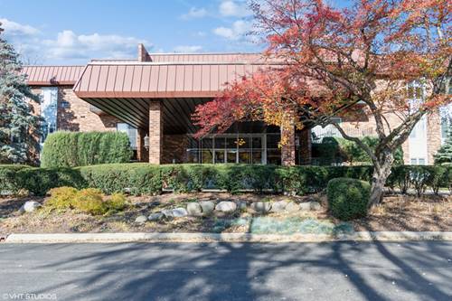 1049 W Ogden Unit 204, Naperville, IL 60563