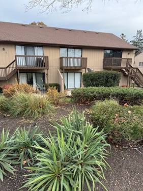 29 Jamaica Colony Unit 29-5, Fox Lake, IL 60020