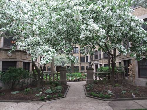 1225 W Lunt Unit 1B, Chicago, IL 60626