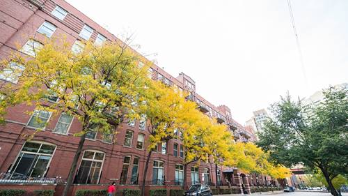 550 N Kingsbury Unit 420, Chicago, IL 60654