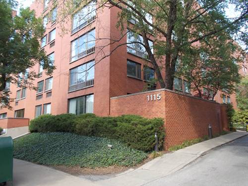 1115 S Plymouth Unit 313, Chicago, IL 60605