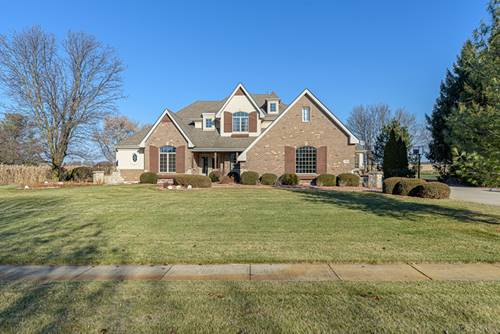 13810 W Debbie, Mokena, IL 60448