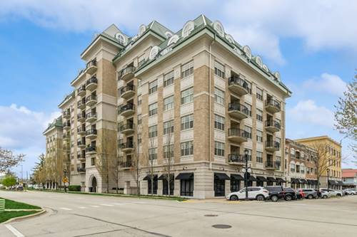 50 N Plum Grove Unit 309E, Palatine, IL 60067