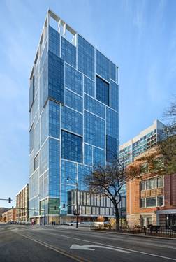 1400 S Wabash Unit 3101, Chicago, IL 60605