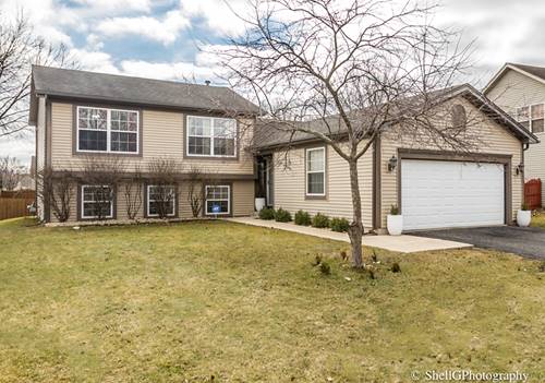 7204 Faxton, Plainfield, IL 60586