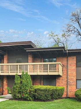 485 Duane Unit B4, Glen Ellyn, IL 60137