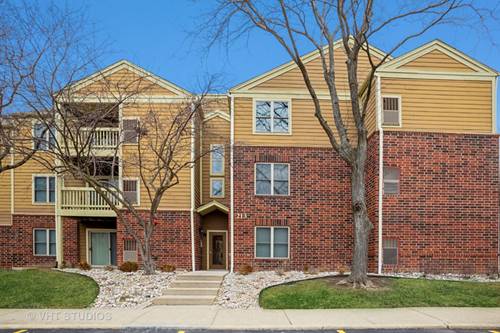 213 Glengarry Unit 311, Bloomingdale, IL 60108