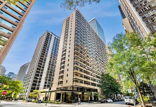 850 N Dewitt Unit 15J, Chicago, IL 60611