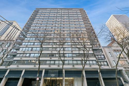 33 E Cedar Unit 10F, Chicago, IL 60611