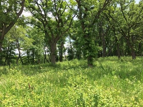 Lot 19 1201 Ridgemoor, Bull Valley, IL 60098