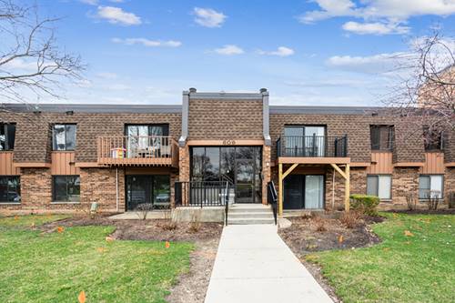 609 Limerick Unit 2D, Schaumburg, IL 60193