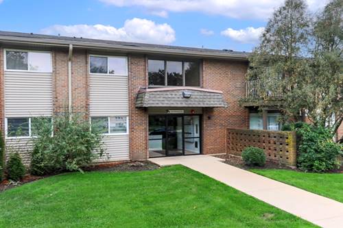 4515 Blackhawk Unit 206, Lisle, IL 60532