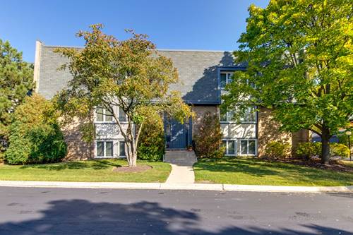 1971 Ammer Ridge Unit 301, Glenview, IL 60025