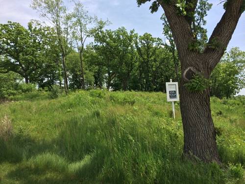 Lot 20 ,1221 Ridgemoor, Bull Valley, IL 60098