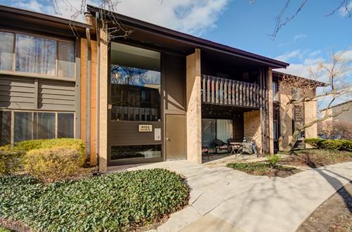 6153 Knoll Way Unit 203, Willowbrook, IL 60527