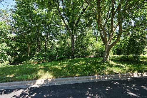 Lot 4 Manchester, Batavia, IL 60510